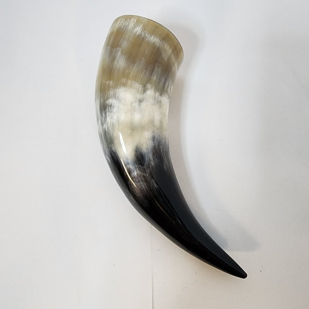 Pirate - Medieval - Viking Drinking Horn Steer 7-9 Inch  (HR100-S)